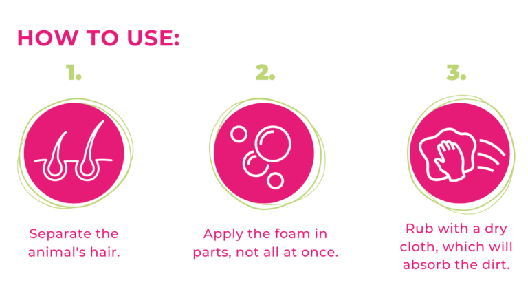 CHAMPÚ ESPUMA – EN