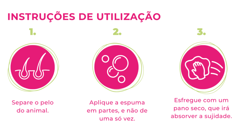 CHAMPÚ ESPUMA – PT